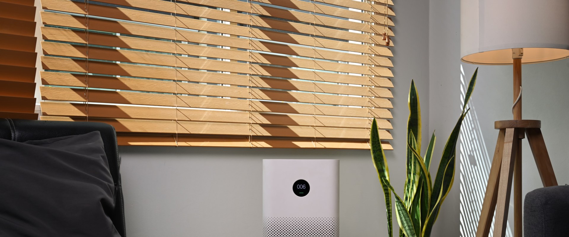 Do Air Filters Help with Pet Dander? - An Expert's Perspective