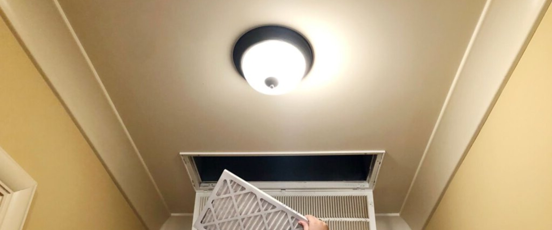 The Best Budget Rheem Furnace Air Filter for Pet Owners: Affordable Solutions to Reduce Pet Dander and Improve Home Air Quality