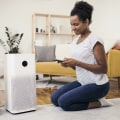 The Best Air Purifier for Allergies: Rabbit AirMinus A2 SPA-780a