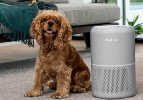 Do Air Purifiers Really Work on Pet Dander?