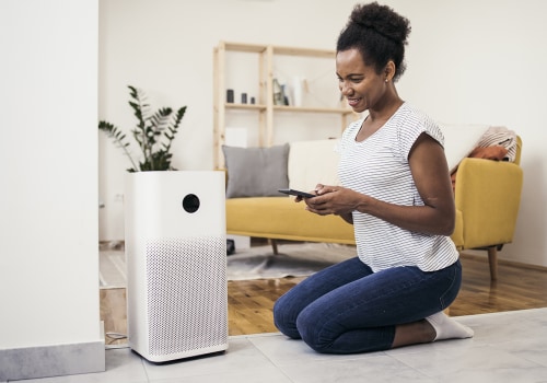 The Best Air Purifier for Allergies: Rabbit AirMinus A2 SPA-780a