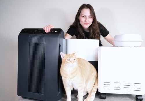 The Best Air Filters for Pet Hair: A Comprehensive Guide