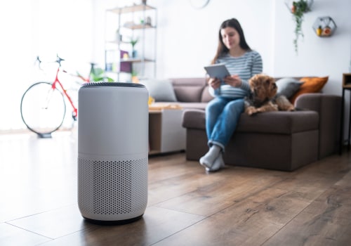 What Type of Air Filter Is Best for People with Asthma in the Home?